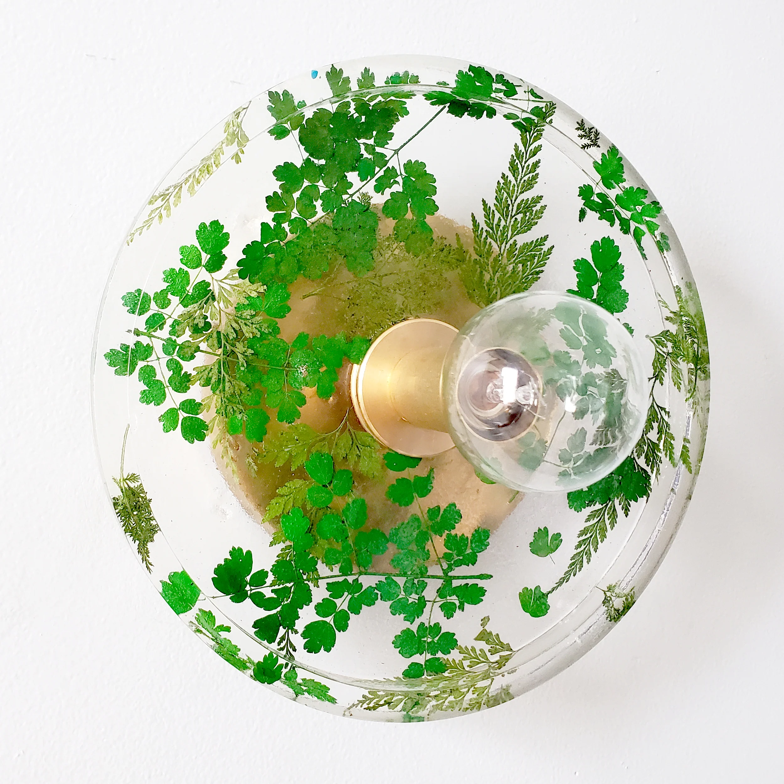 Botanico Sconce or Flushmount - Image 37