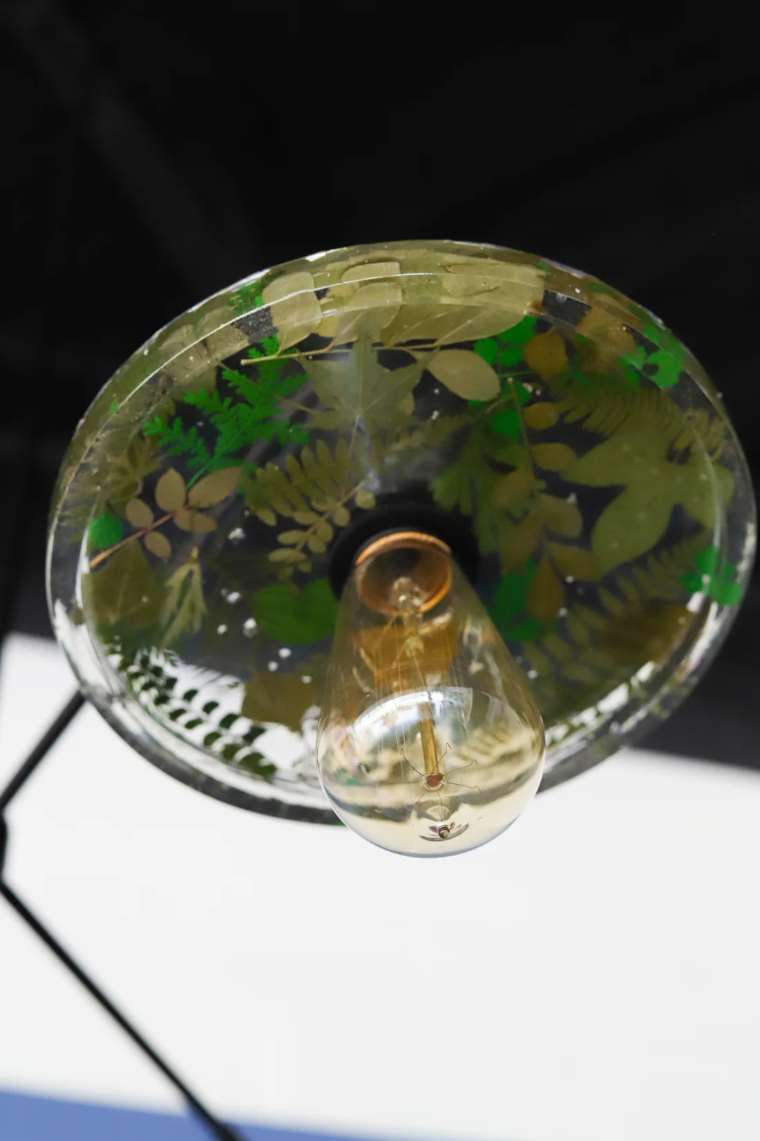 Botanico Three Light Chandelier - Image 16