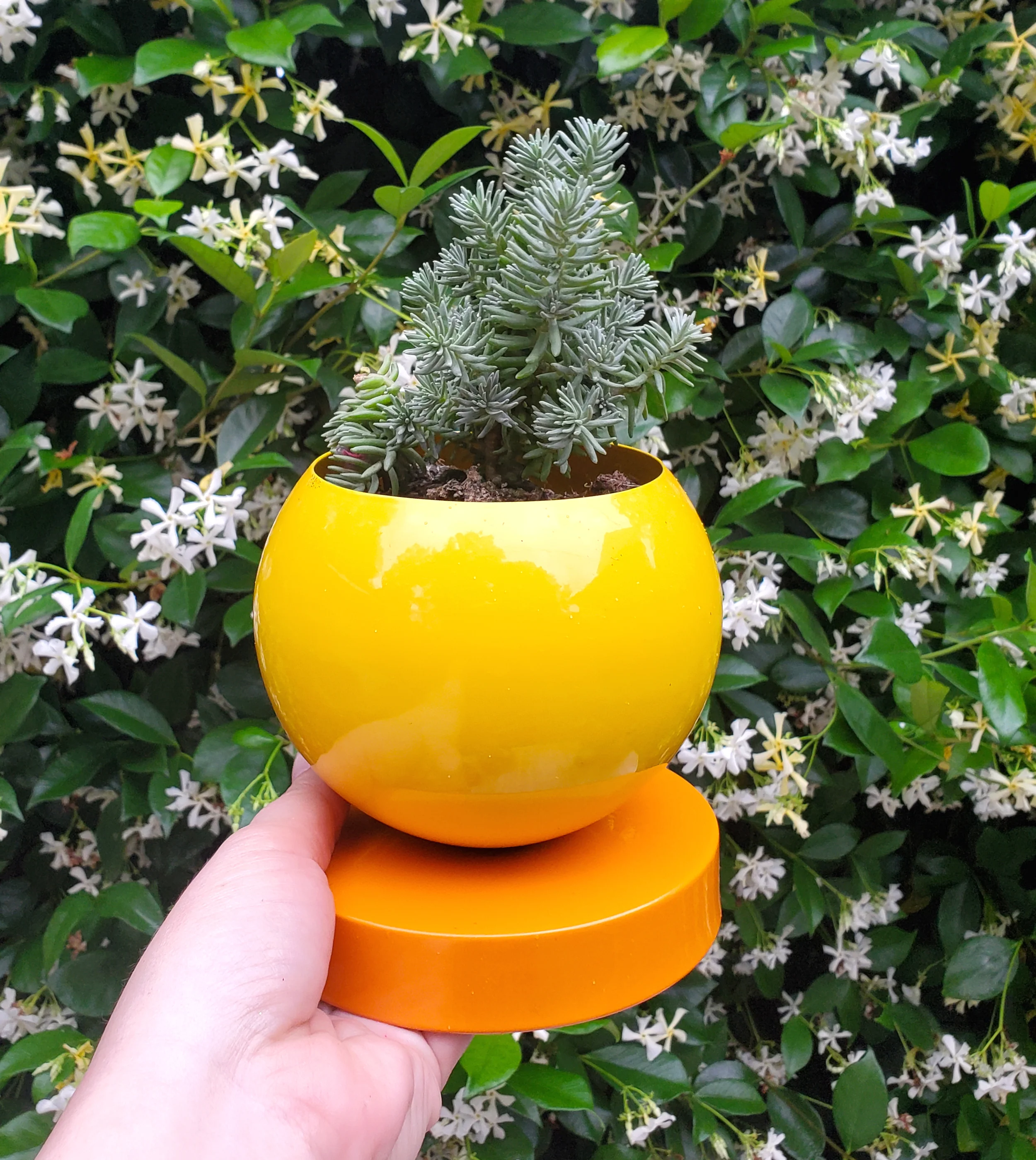 Color Blocked Planter - Image 15