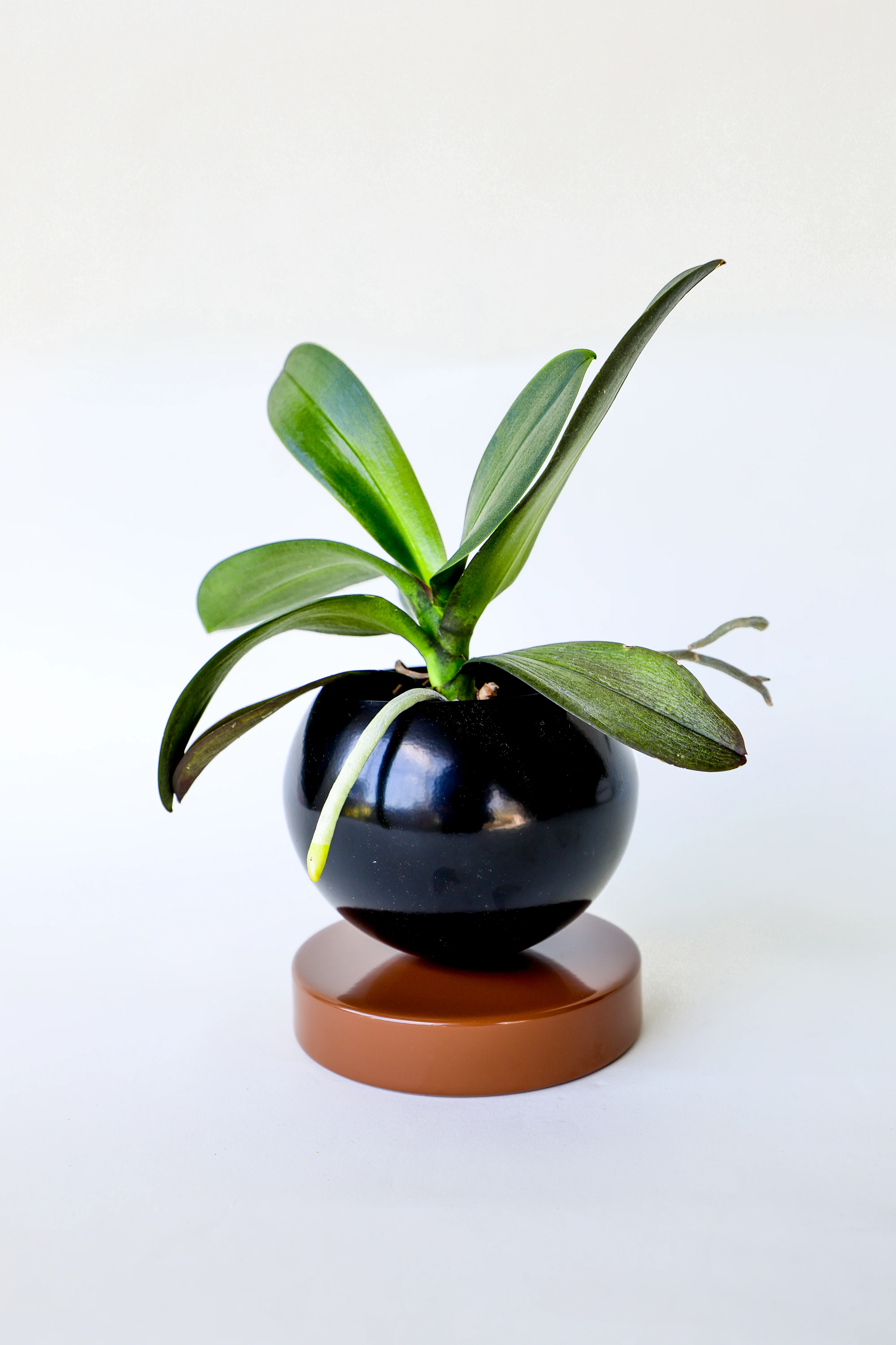 Color Blocked Planter - Image 29