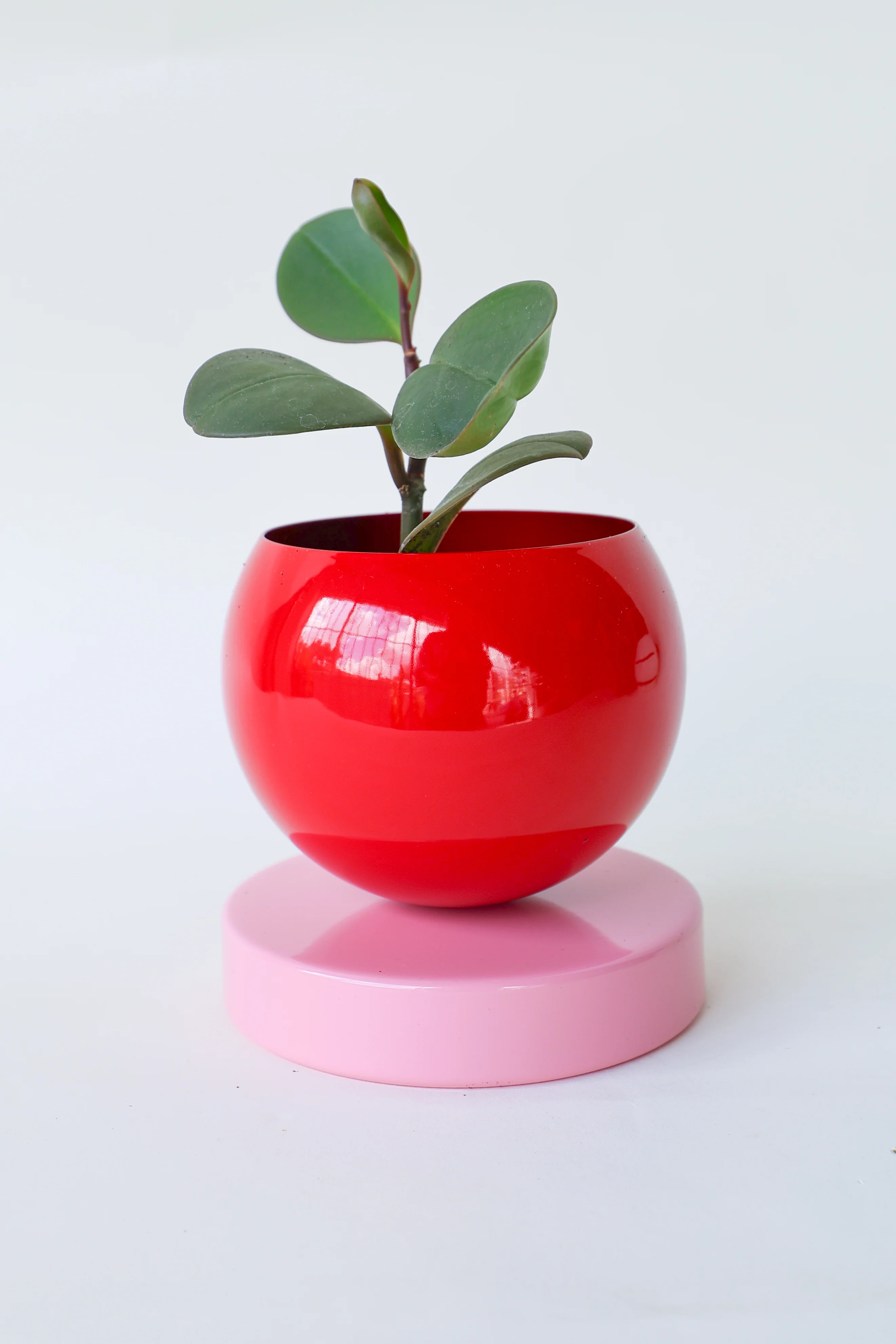Color Blocked Planter - Image 45