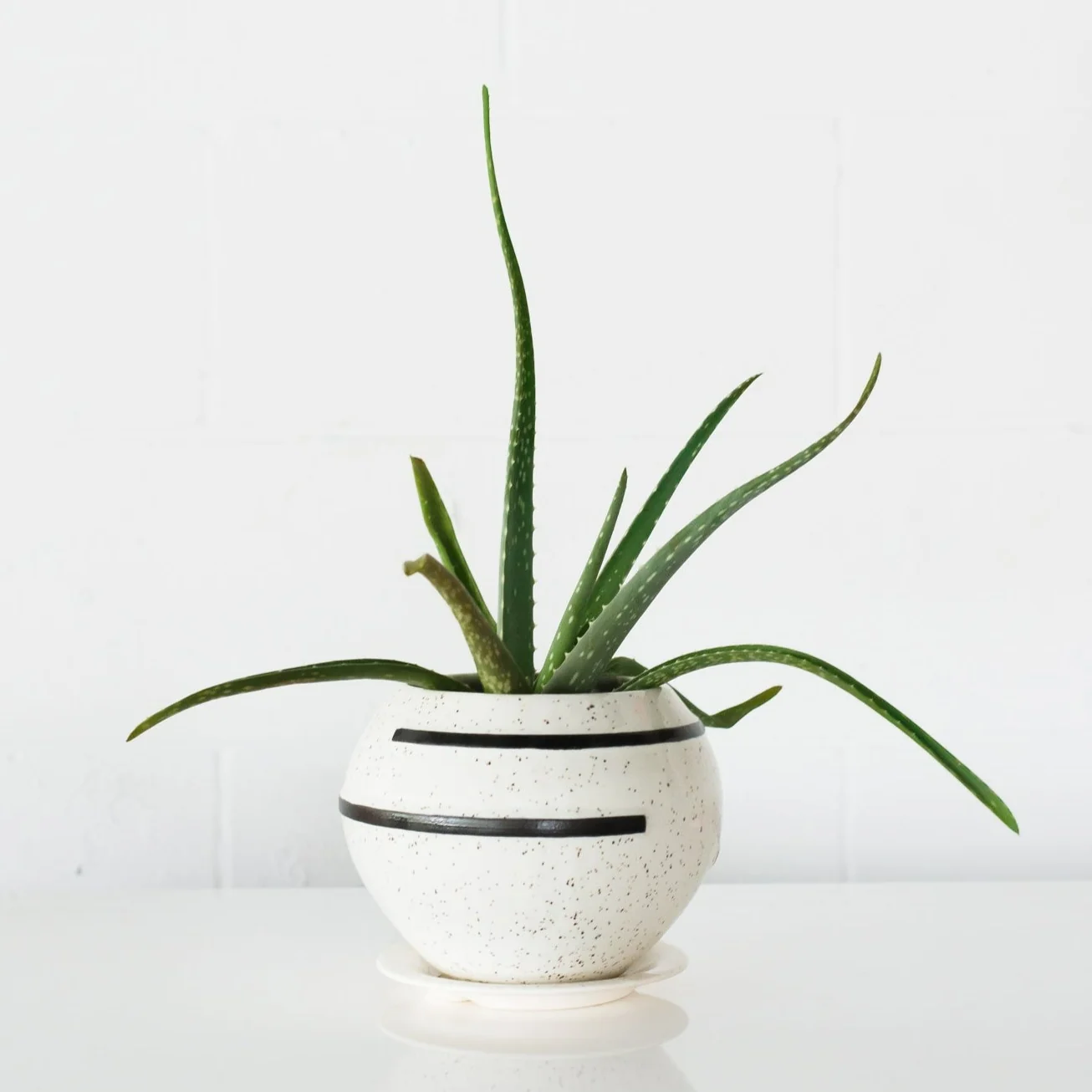 Delta Planter - Image 2