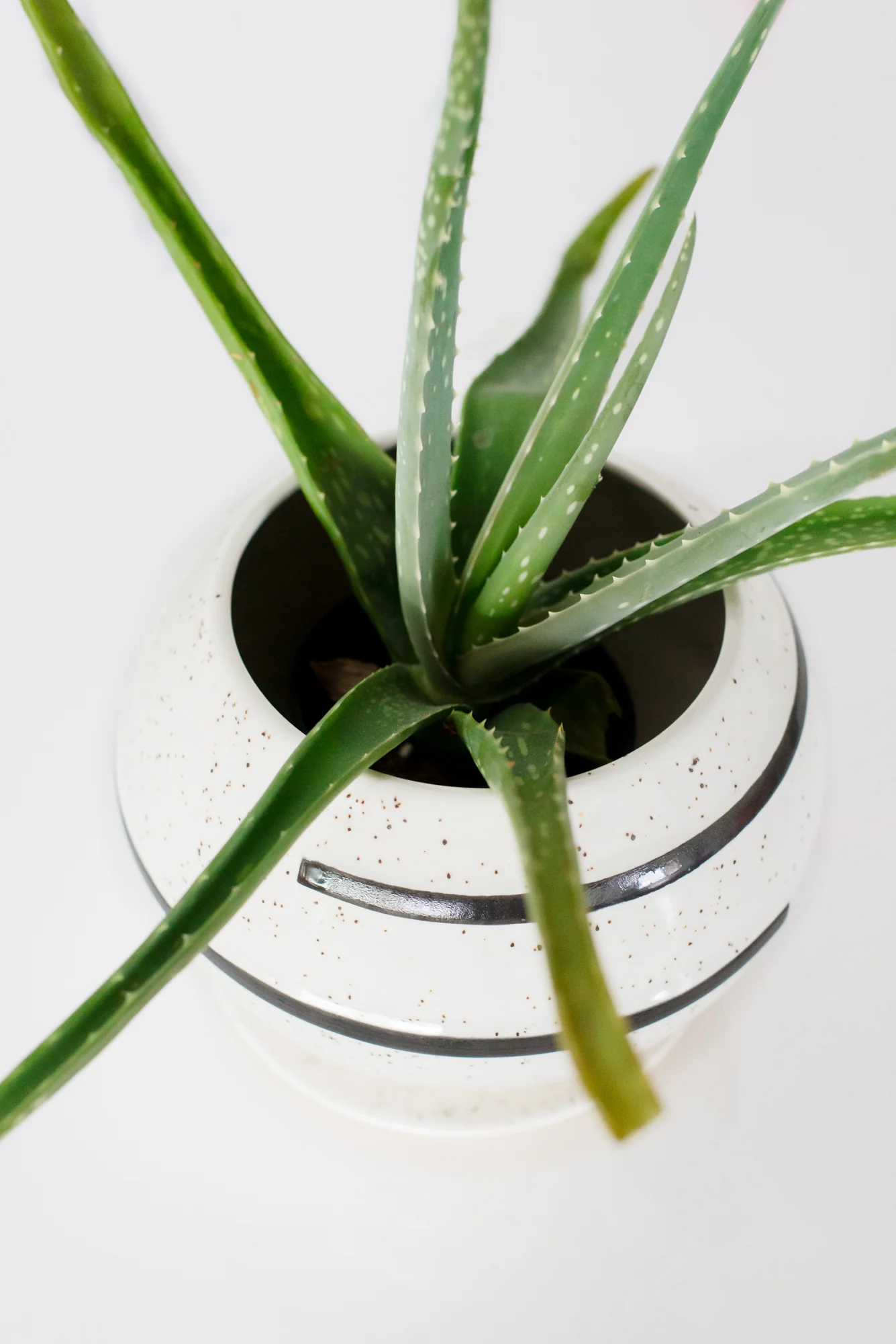Delta Planter - Image 5