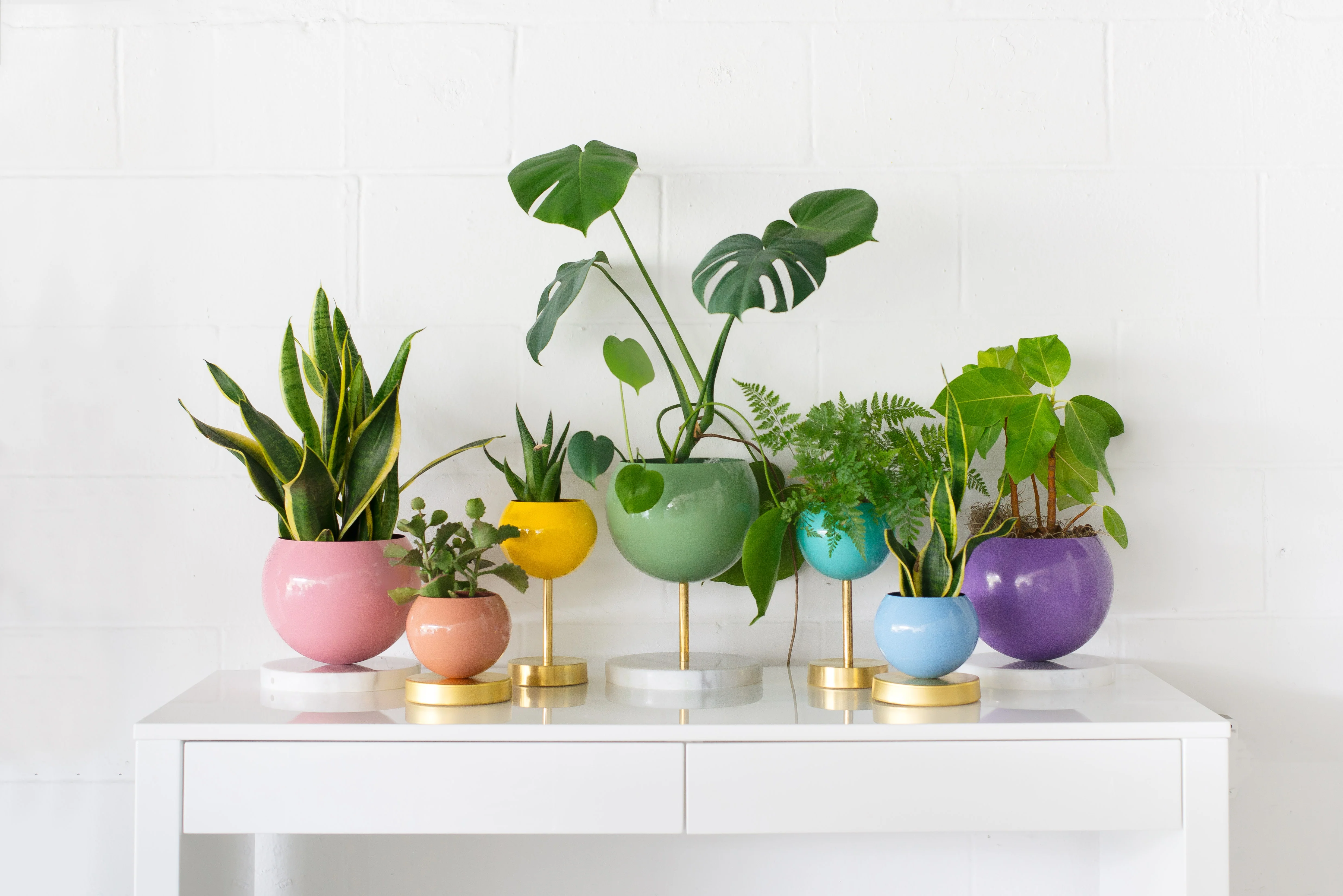 Pastel Rainbow Planter Collection - Image 4