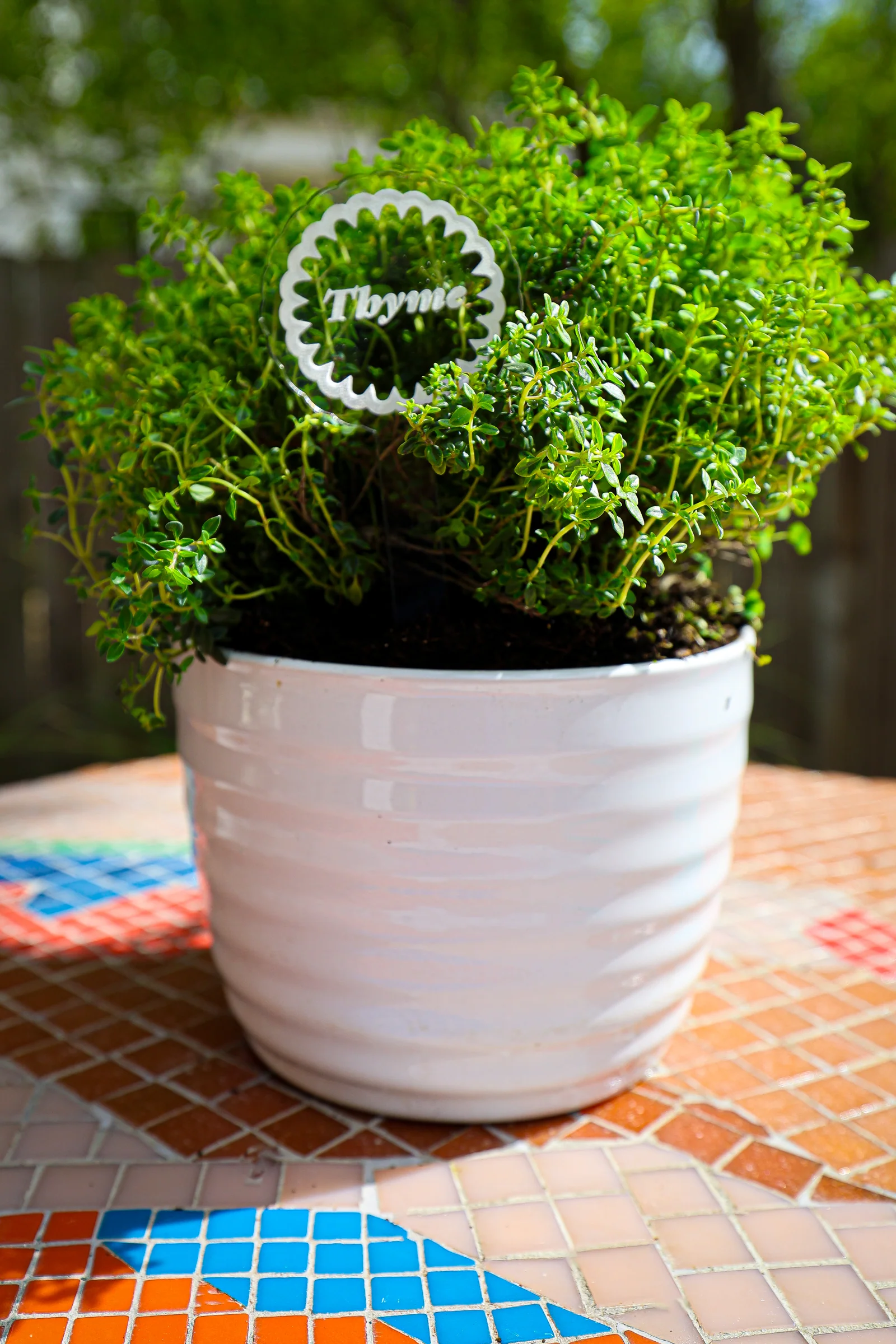 Scalloped Plant Markers - Image 11