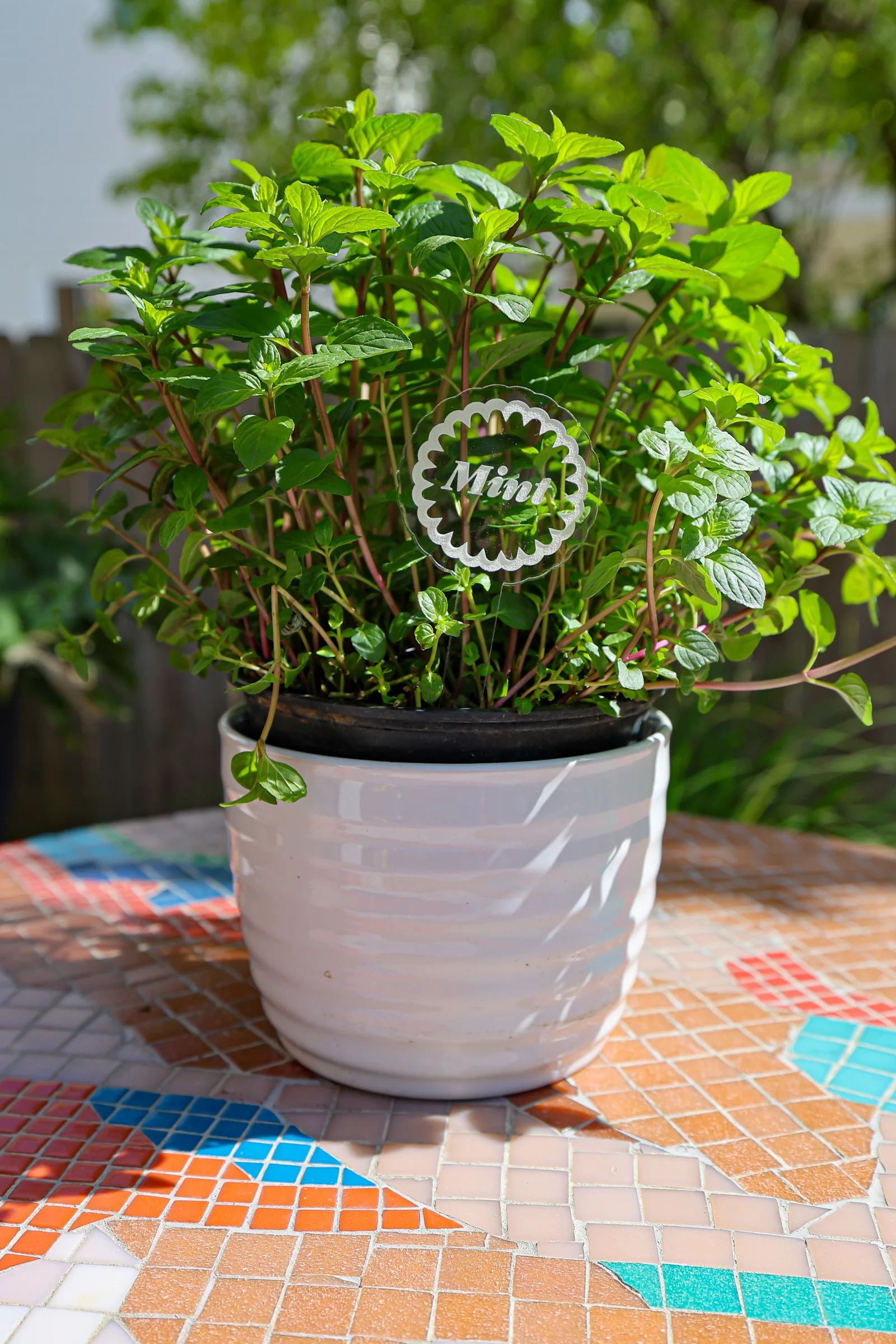 Scalloped Plant Markers - Image 12