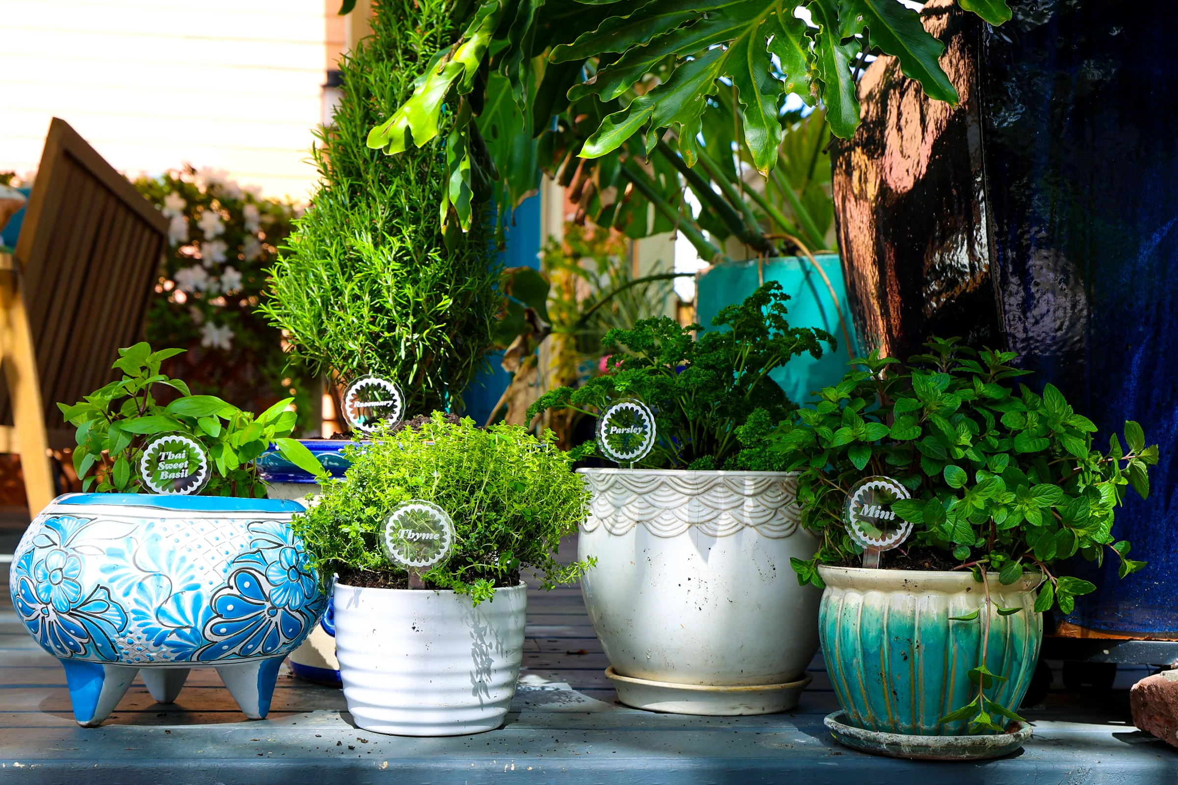 Scalloped Plant Markers - Image 13